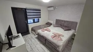 AmA - I.C. Brătianu