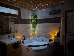 Les Myrtilles, appartement au pied des pistes