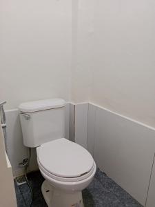 Z and J Fully Transient Pad II