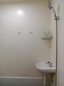 Z and J Fully Transient Pad II