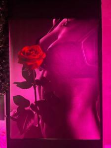 Lh room- balnéo-suite romantique