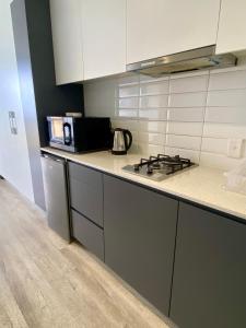 One on Albert Studio Apartment