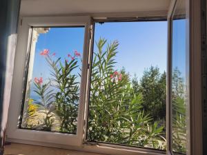 Apartments Chiara mit Meerblick und Pool 