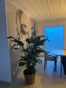 Villas L-echo des Vagues : photos des chambres