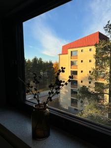 Arctic Boreal Studio