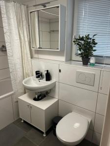 Krefeld Zentrum Appartement Hubi2