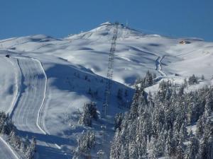 Studio cabine rénové 45 pers, vue pistes, Les Saisies - FR-1-293-161