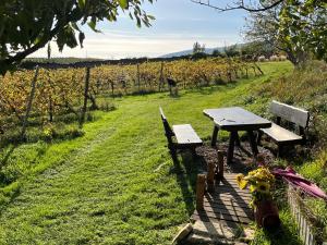 Schlaffass - Schlafen im Holzfass Thallern