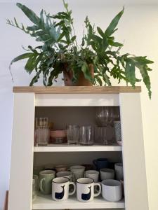 mermaid house, Ponta Delgada