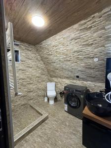 Infinity Chalets in Kazbegi