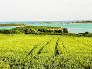 Résidence Keryvet, maison de charme vue mer, plage à 250m,