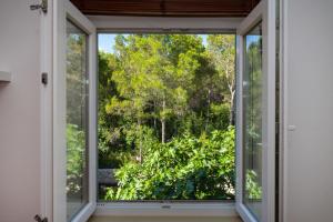 Apartment Agava - pure relaxation by the pine forest
