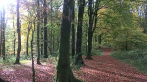 The Shack, Cally Avenue, Gatehouse of Fleet, Dumfries and Galloway, DG7 2 DH