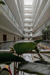 Ivy League House - Girls Hostel