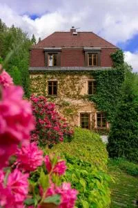 Vila Hraničná - 亚诺夫纳德尼索