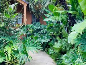 Cherry HomeStay & coffee