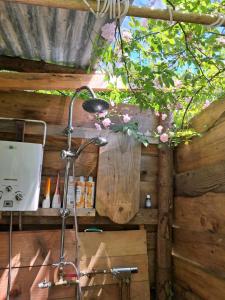 Hilltop Train Carriage with a View