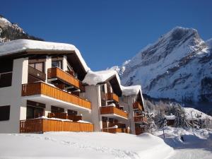 Studio sud 4 pers, animaux admis, terrasse ensoleillée - FR-1-464-50