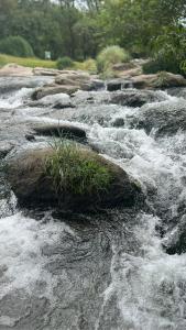 Refugio del Rio Suites