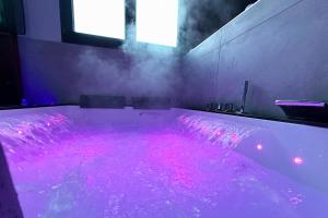 Love hotels SERENITY Suite - Love room : photos des chambres