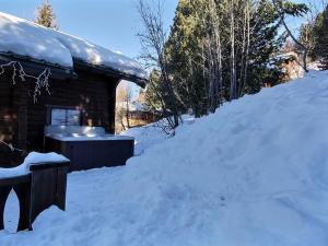 Chalet spacieux 15 pers avec sauna et jacuzzi, proche pistes - Plagne 1800 - FR-1-455-159