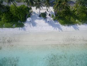 White Harp Beach