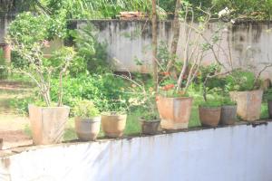 Chapa Guest House