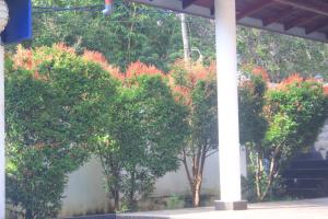 Chapa Guest House