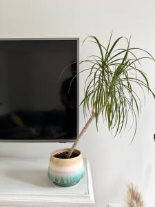Appartements Duplex Trespoey - SPA - Place de parking : photos des chambres