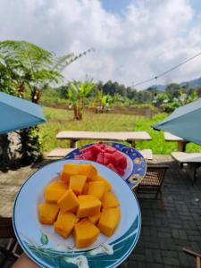 KOPIKUIN bromo homestay