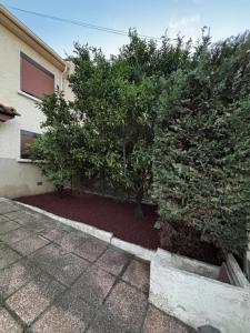 Villas Les Alizees de Canet calme et moderne : Villa 3 Chambres