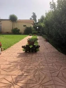 Da Mery - 丽都代皮尼