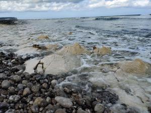 Maisons de vacances Elegante maison pres de la mer 1 ou 2 chambres : Maison 2 Chambres