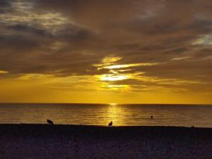 Maisons de vacances Elegante maison pres de la mer 1 ou 2 chambres : photos des chambres