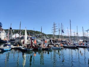 Maisons de vacances Elegante maison pres de la mer 1 ou 2 chambres : photos des chambres