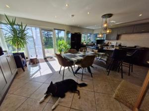 Drumee Lodge boutique B and B, Newcastle, County Down