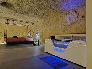 Appartements Troglodyte Loft : photos des chambres