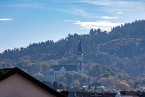 Appartements Le Cygne - vue montagne - proche du centre ville : photos des chambres