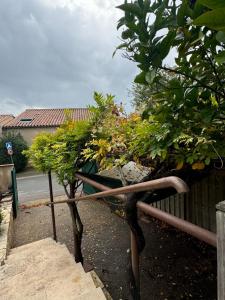 Maisons de vacances la vue des etangs : photos des chambres