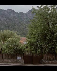 Cosy family house in Mtskheta