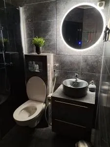 Saunallinen yksiö - 皮耶克赛迈基