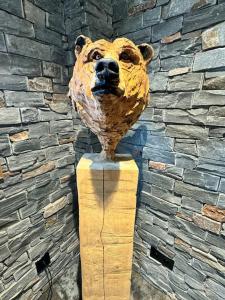 Appartements Lazy Bear Lodge : photos des chambres