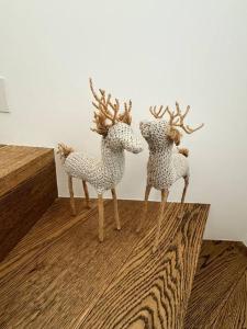 Appartements Lazy Bear Lodge : photos des chambres