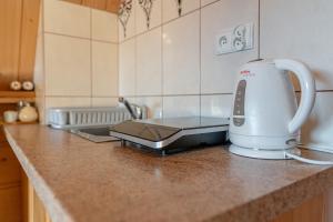 Willa Polana Górkówka