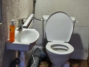 ROUBENKA na SJEZDOVCE