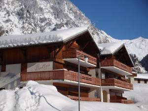 Appartements Studio mezzanine, terrasse sud, proche commerces et telecabine a Champagny-en-Vanoise - FR-1-464-17 : photos des chambres