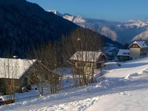 Appartement cosy 3 pièces avec balcon et garage, à proximité des pistes et commerces - FR-1-459-164