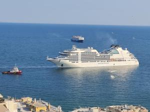 Euphoria luxury penthouse