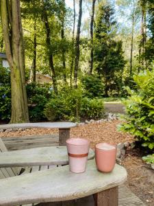 Sfeervol Tiny House in het Bos