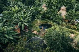 YAY Sustainable - Hacienda La Beatriz